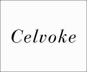 （1121503）Celvoke（セルヴォーク）